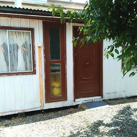 Cabana Independiente No Pareada Lugar Tranquilo Valdivia Dış mekan fotoğraf